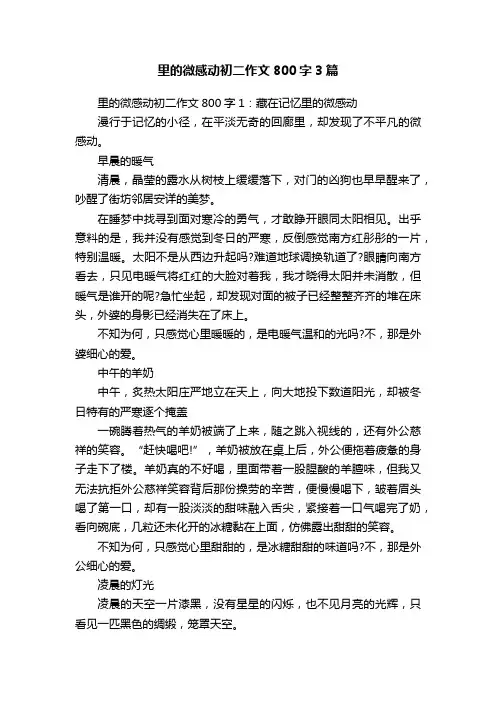 里的微感动初二作文800字3篇