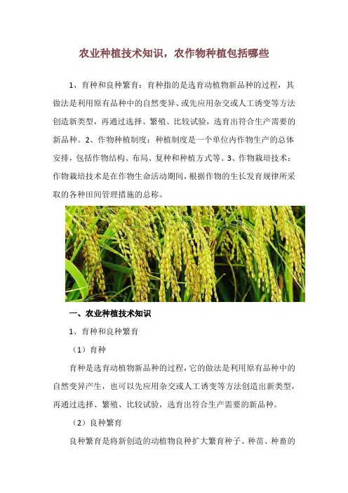 农业种植技术知识,农作物种植包括哪些