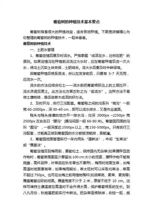 葡萄树的种植技术基本要点