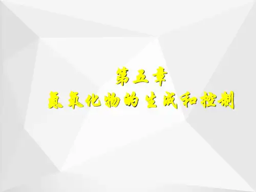 氮氧化物的生成和控制ppt