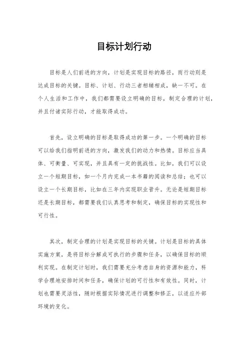 目标计划行动