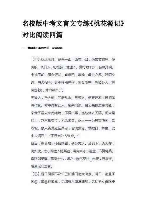 名校版中考文言文专练《桃花源记》对比阅读四篇
