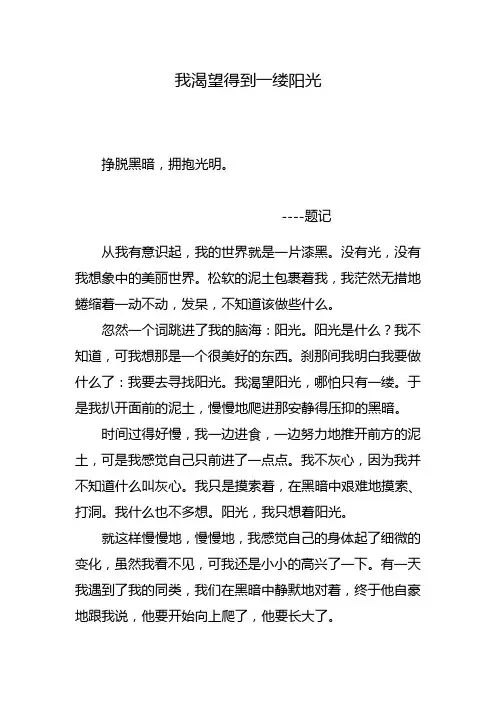我渴望得到一缕阳光