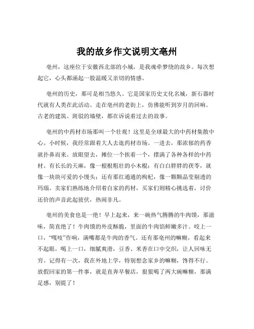 我的故乡作文说明文亳州