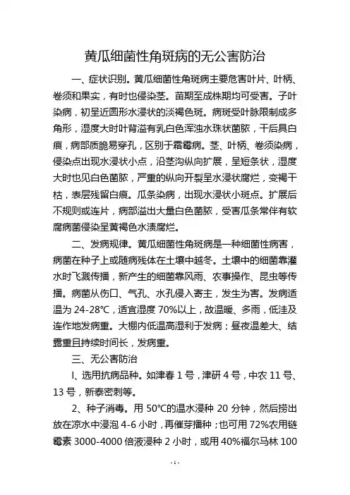 黄瓜细菌性角斑病的无公害防治