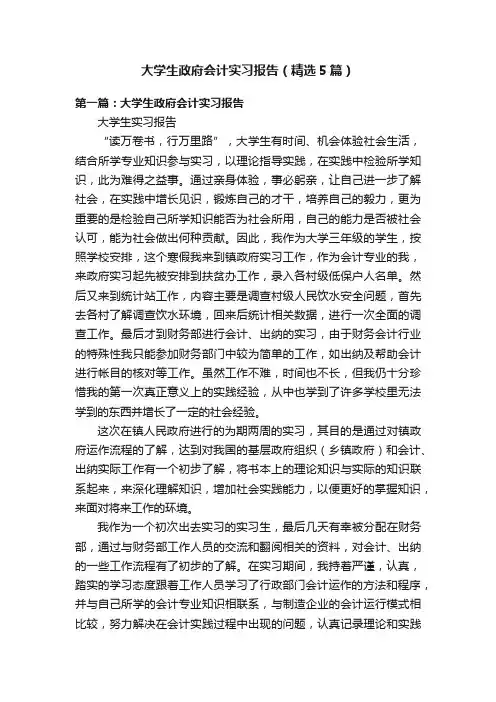 大学生政府会计实习报告（精选5篇）