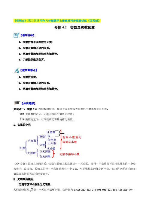 专题4.2 实数及实数运算(解析版)