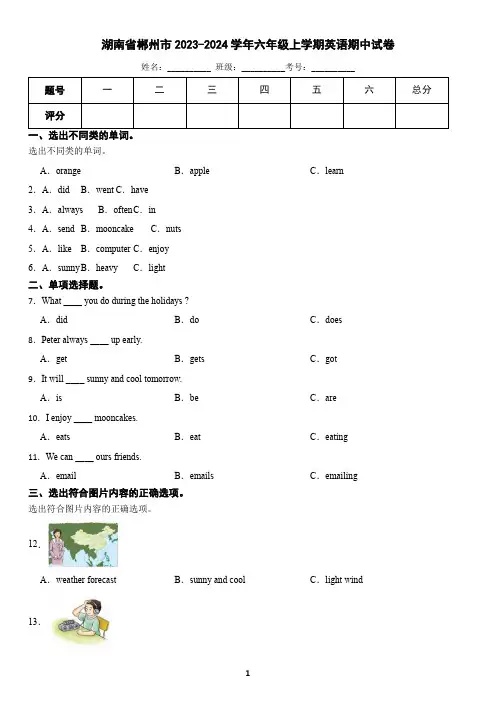 湖南省郴州市2023-2024学年六年级上学期英语期中试卷(含答案)