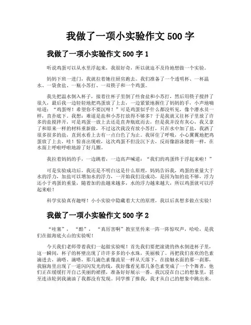 我做了一项小实验作文500字