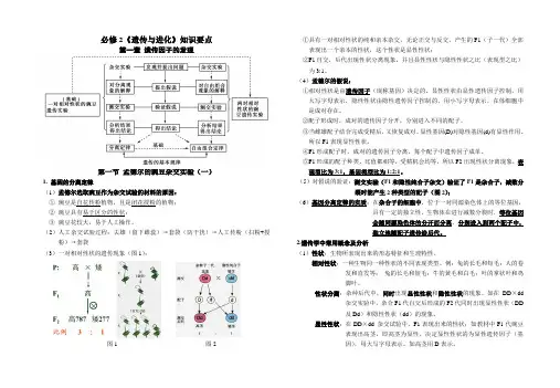 生物-必修2-1-遗传因子的发现