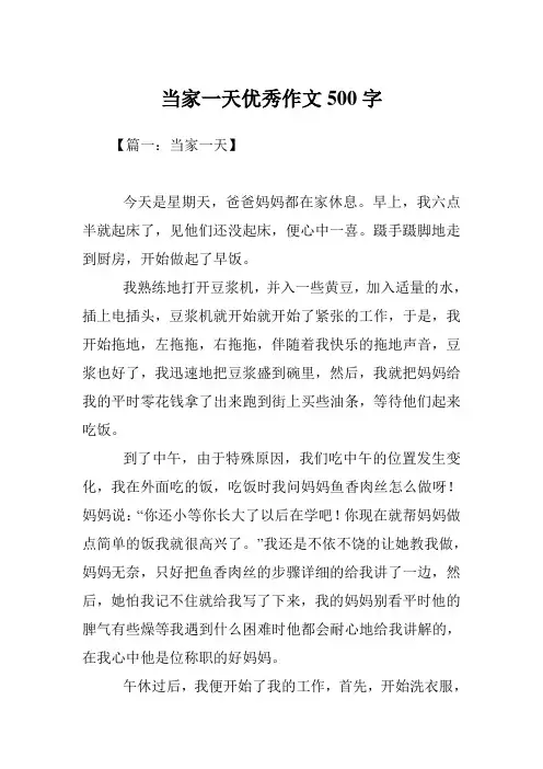 当家一天优秀作文500字