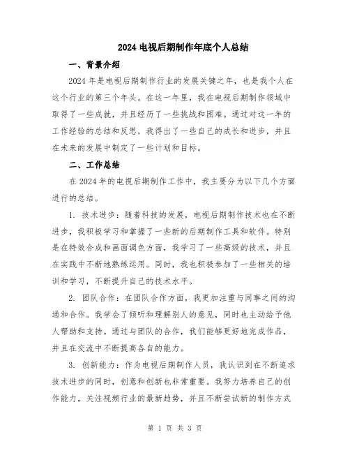 2024电视后期制作年底个人总结