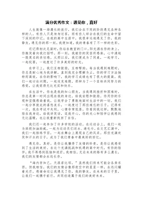 满分优秀作文：遇见你,真好
