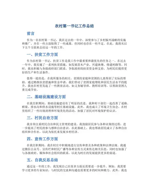 农村第一书记工作总结