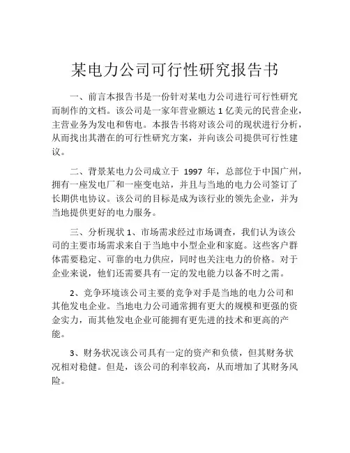 某电力公司可行性研究报告书