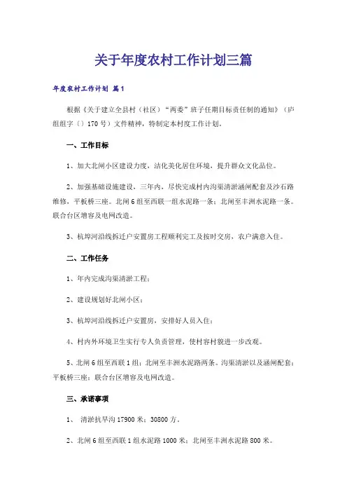 关于年度农村工作计划三篇