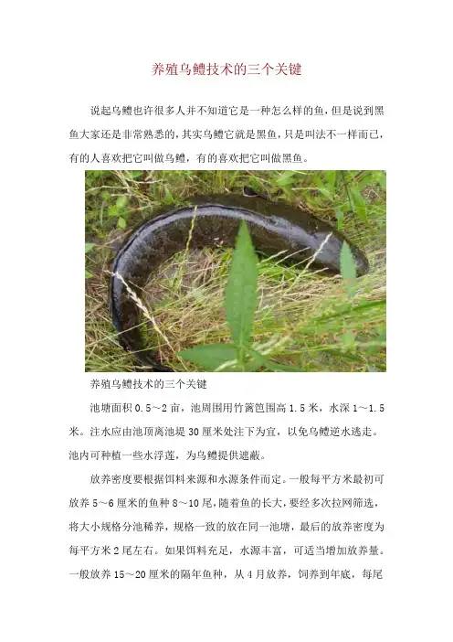 养殖乌鳢技术的三个关键