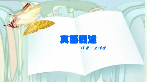 真菌概述ppt