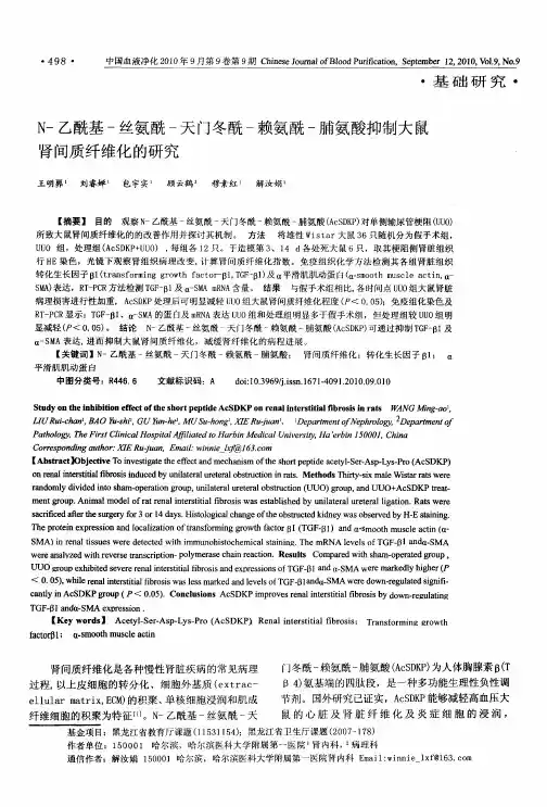 N-乙酰基-丝氨酰-天门冬酰-赖氨酰-脯氨酸抑制大鼠肾间质纤维化的研究