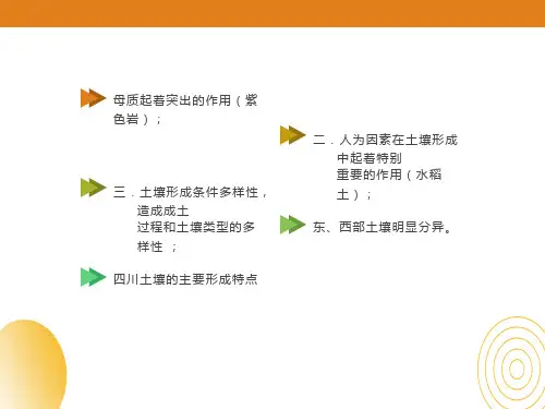 四川主要土壤类型