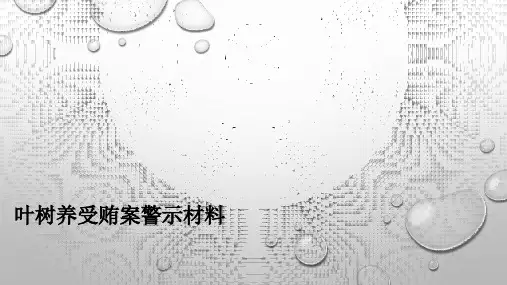 叶树养受贿案警示材料