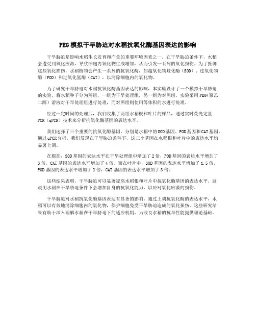 PEG模拟干旱胁迫对水稻抗氧化酶基因表达的影响