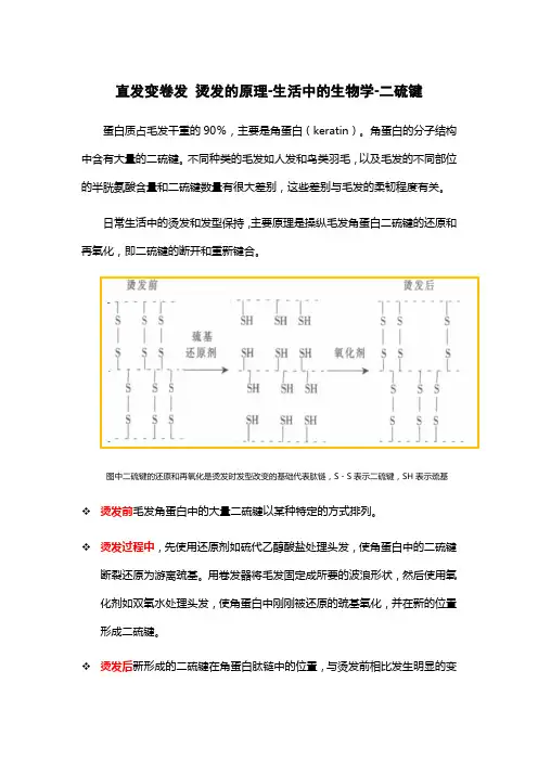 直发变卷发 烫发的原理-生活中的生物学-二硫键