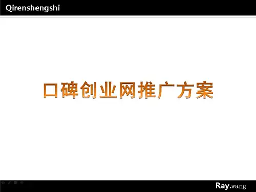 口碑创业网推广方案Ray