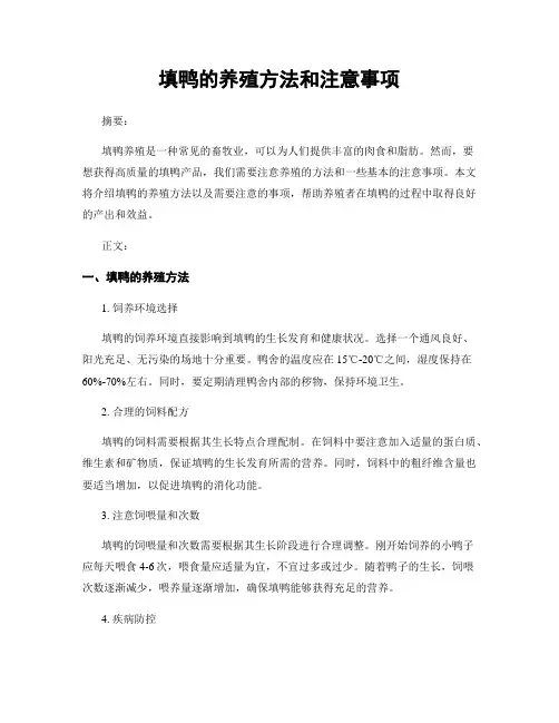 填鸭的养殖方法和注意事项