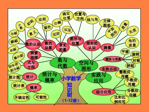 数学全册知识树