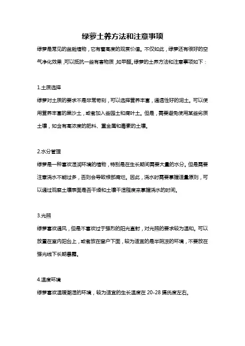 绿萝土养方法和注意事项