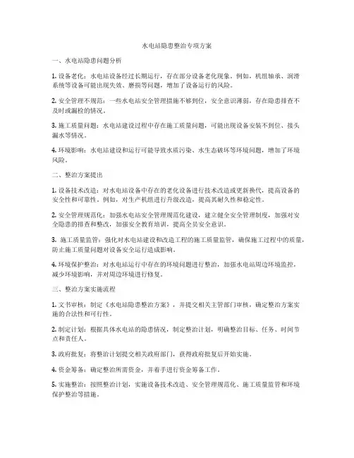 水电站隐患整治专项方案
