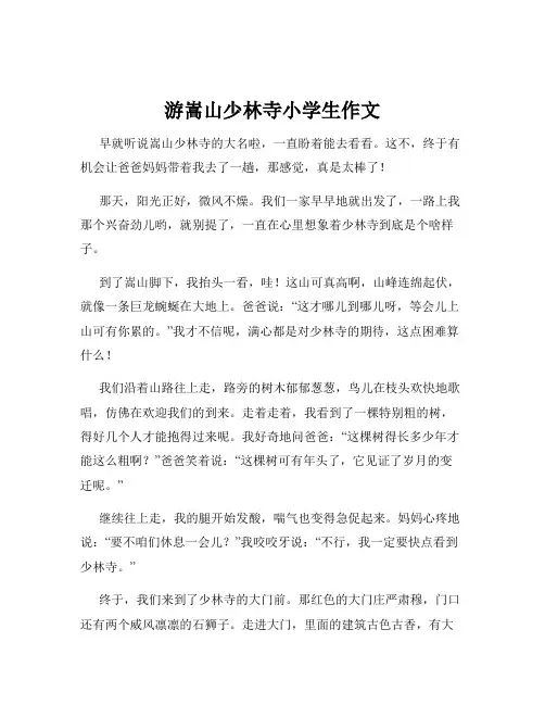 游嵩山少林寺小学生作文