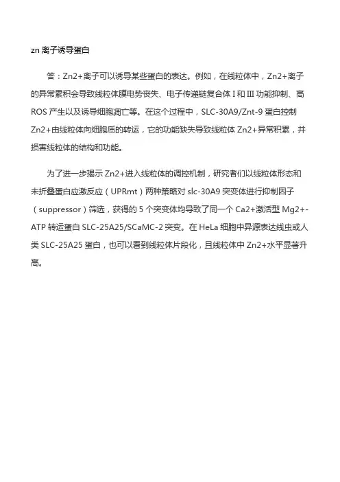 zn离子诱导蛋白