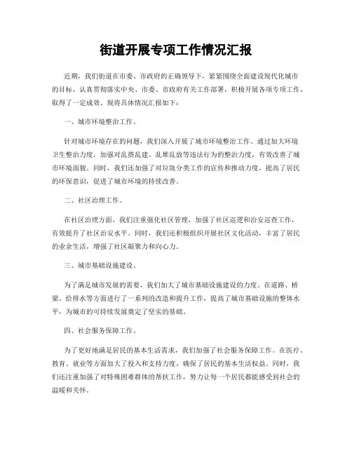 街道开展专项工作情况汇报