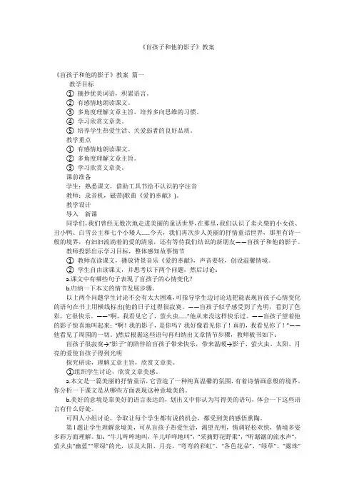 《盲孩子和他的影子》教案