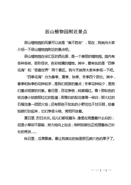辰山植物园附近景点