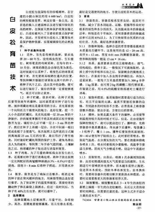 白皮松育苗技术