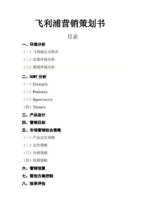 飞利浦液晶电视营销策划书