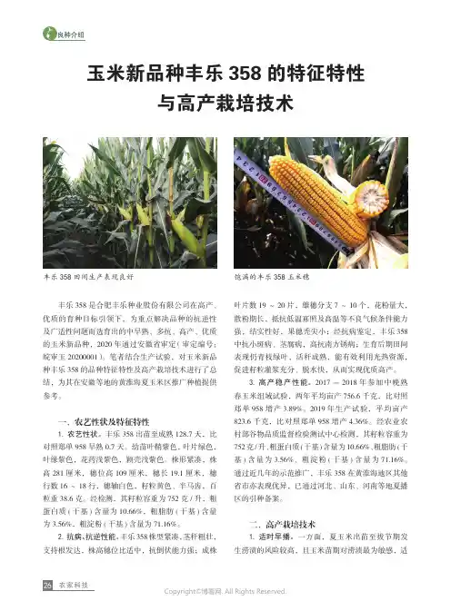 玉米新品种丰乐358_的特征特性与高产栽培技术