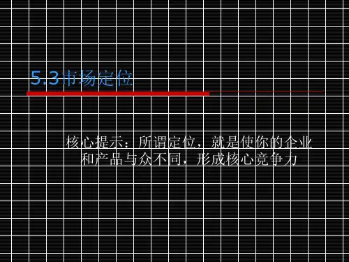 任务.5.3市场定位ppt