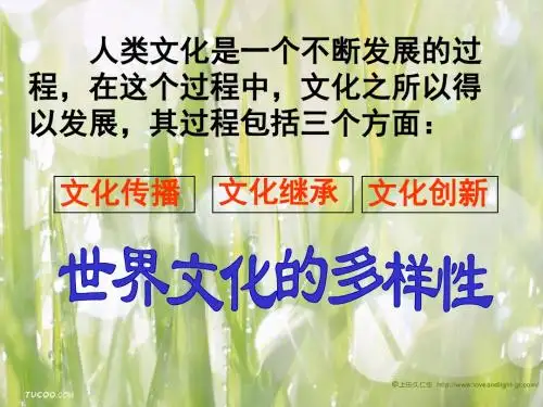 3.1世界文化多样性(共41张PPT)