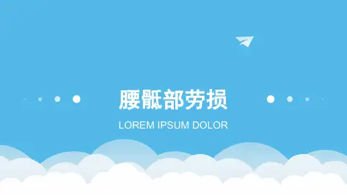 腰骶部劳损PPT课件