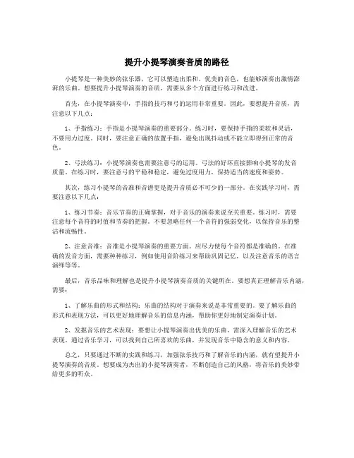 提升小提琴演奏音质的路径