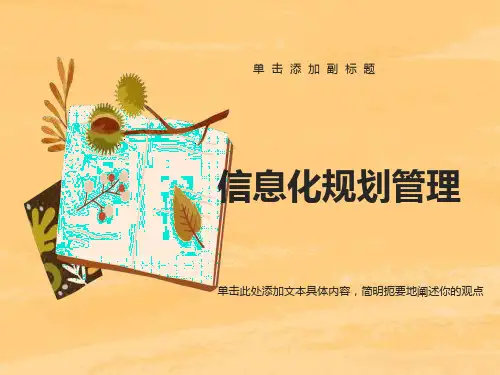 信息化规划管理