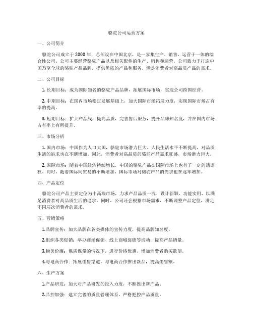 骆驼公司运营方案