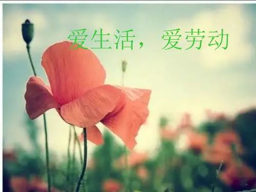 人教版二年级音乐上册：《劳动最光荣》课件02