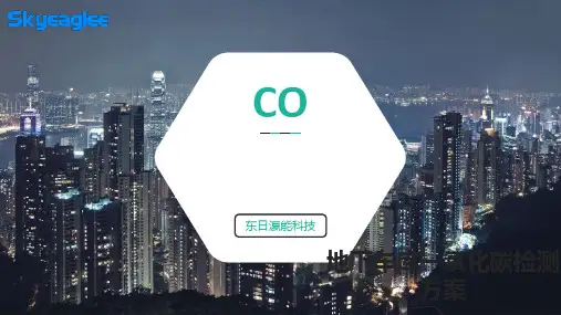 一氧化碳在线监测系统方案PPT课件