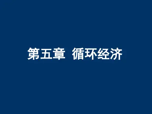 循环经济学--循环经济  ppt课件