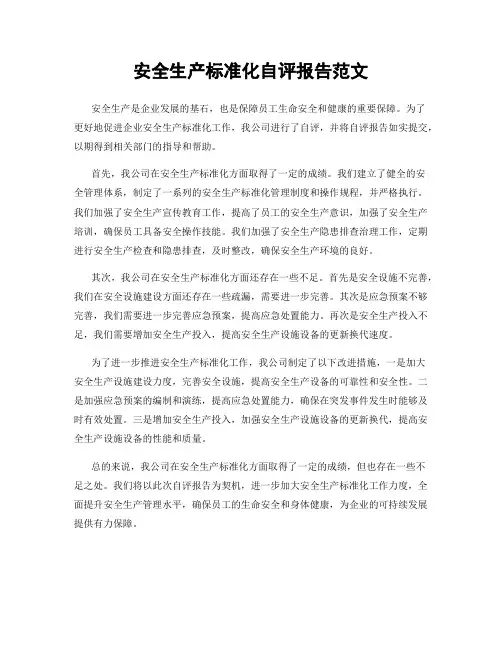 安全生产标准化自评报告范文